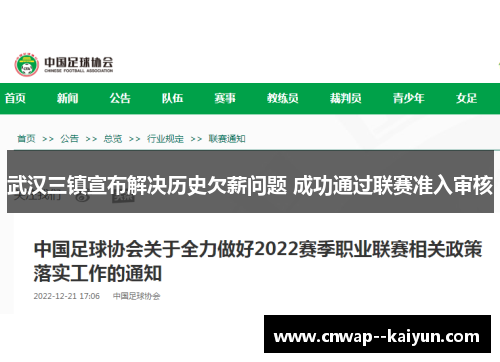 武汉三镇宣布解决历史欠薪问题 成功通过联赛准入审核 武汉三镇宣布解决历史欠薪问题 成功通过联赛准入审核