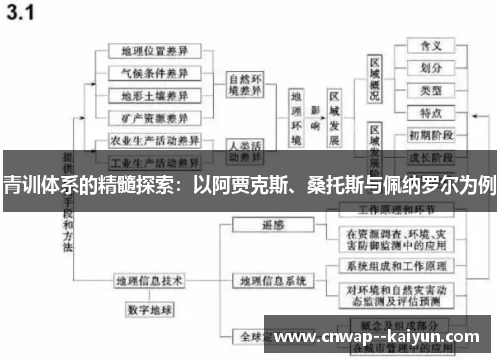 青训体系的精髓探索：以阿贾克斯、桑托斯与佩纳罗尔为例