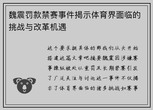 魏震罚款禁赛事件揭示体育界面临的挑战与改革机遇